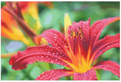 (image for) Red Lily